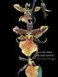 Aliceara Hilo Ablaze ‘Hilo Gold’ AM/AOS
