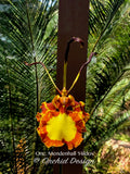 Psychopsis Mendenhall 'Hildos' FCC/AOS – Butterfly orchid