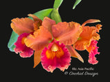 Rlc. Asia Pacific