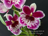 Miltoniopsis Morris Chesnut 'HOF #6'