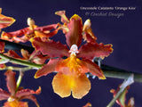 Oncostele Catatante 'Orange Kiss' – Floriferous - Orchid Design