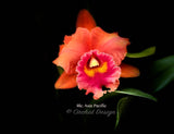 Rlc. Asia Pacific