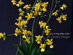 Oncidium Yi-Ying Shiny Gold – Sweet Fragrant!