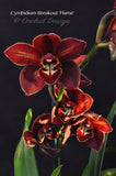 Cymbidium Breakout 'Flame' – Burgundy Red